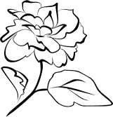 Mega 2 Collection | Simple Flowers - Paula Leckey (Vector Art ...