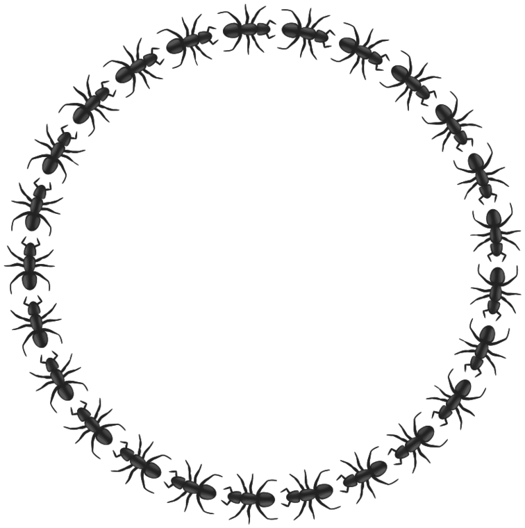 Picnic Border Clip Art Clipart - Free to use Clip Art Resource