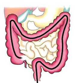 Peninsula Endoscopy Centre - Melbourne Australia