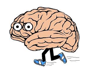 BrainRunner300.jpg