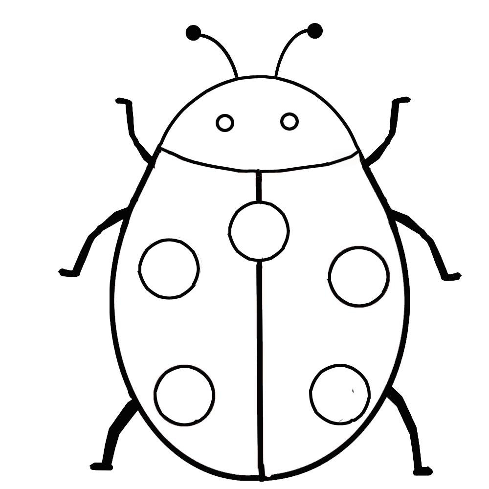 Insect To Color Clipart