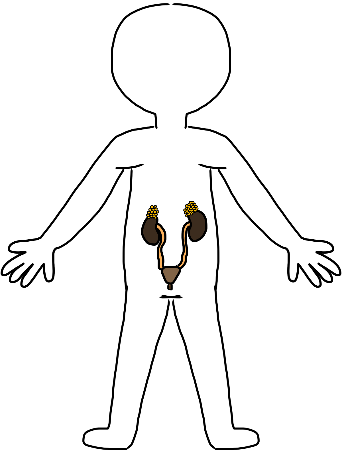 Systems Clipart | Free Download Clip Art | Free Clip Art | on ...