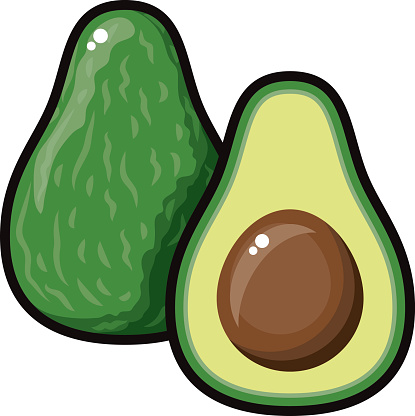 Avocado pictures clip art