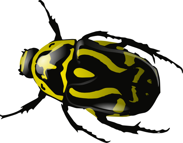 Insect Clipart - Free Clipart Images