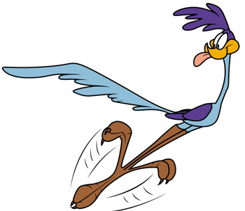 Road Runner | Matt's Notes