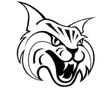 wildcat drawings Gallery