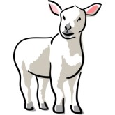 Barnyard Clipart