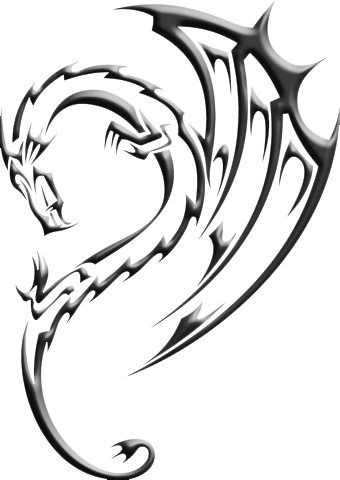 Image - Void Dragon Mark.png | Fairy Tail Wiki | Fandom powered by ...