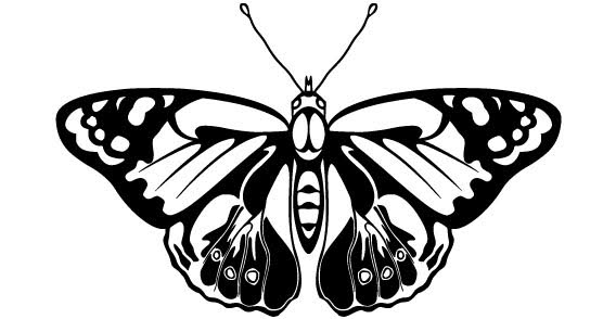 Butterfly Vector | Download Free Vector Graphic Designs ...