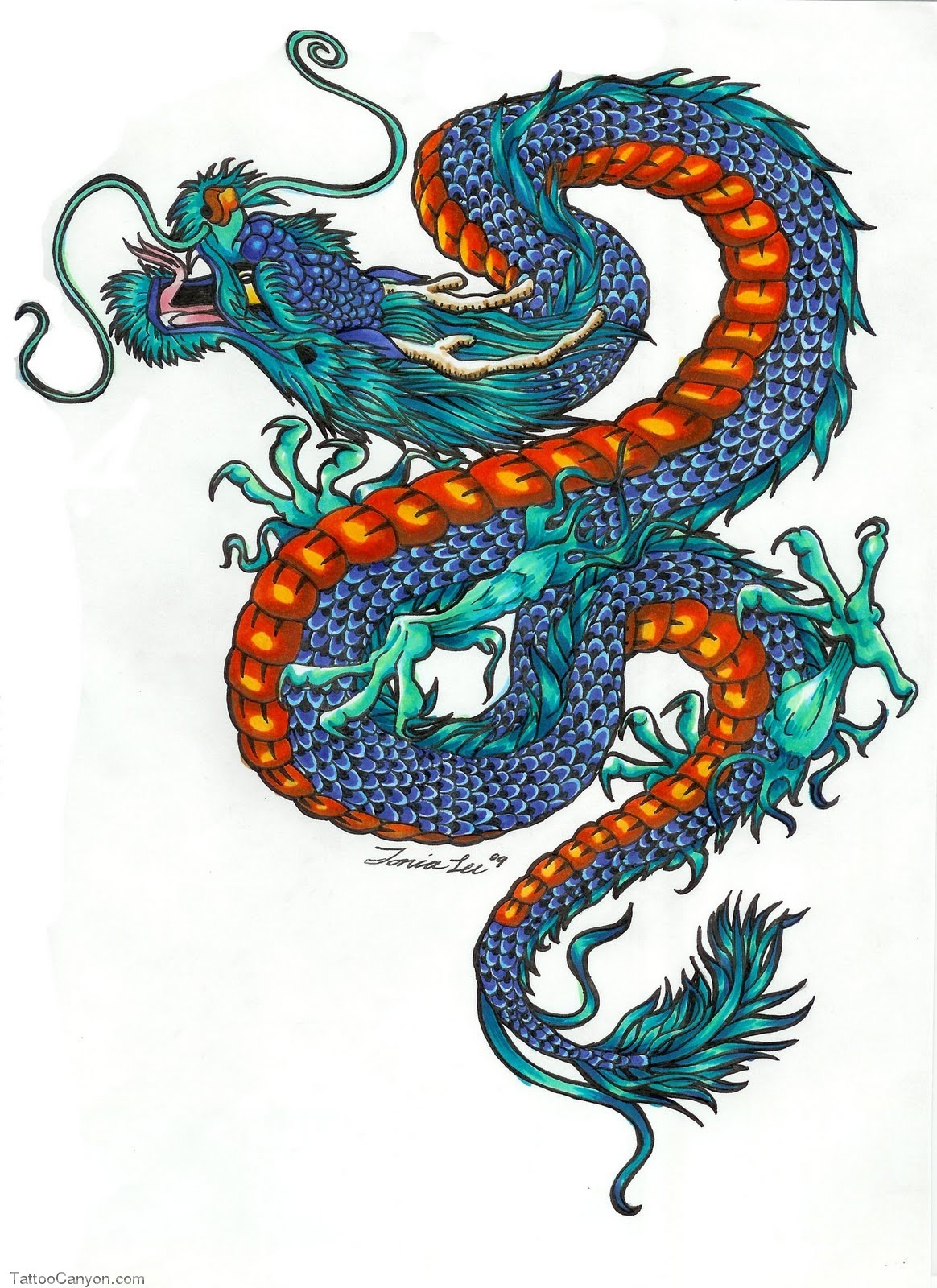Dragon Tattoo Design By Raynehawk Tattoology Free Download Picture #
