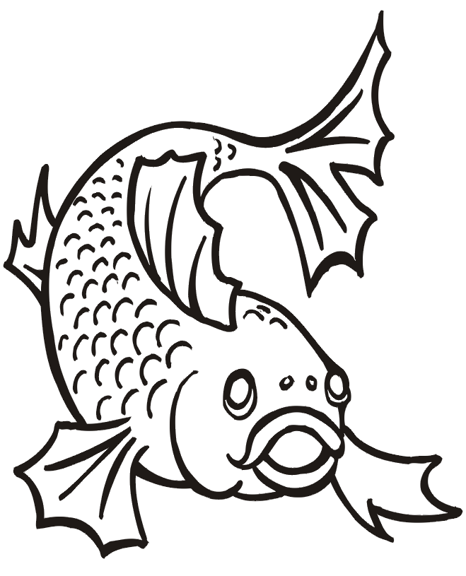 colours drawing wallpaper: Fish Cartoone Colour Drawing HD Wallpaper