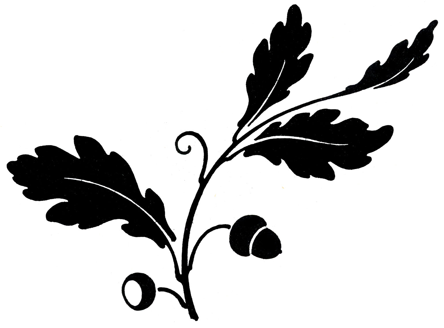 Antique Clip Art - Oak Leaf & Acorns - Silhouette - The Graphics Fairy