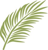 palm sunday | Foster Goes Fishing!