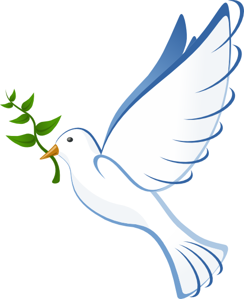 Doves Flying