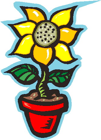 Sunflower Clip Art