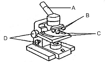 Diagram Of A Microscope Parts - ClipArt Best