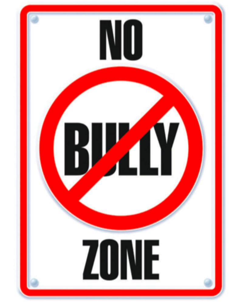 NO BULLY ZONE!!!