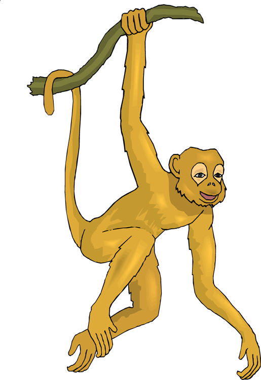 Free Monkey Clipart