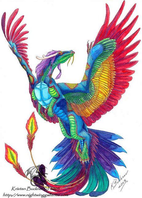 Beautiful, Wings and Parrots