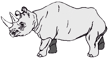 Rhino Clip Art