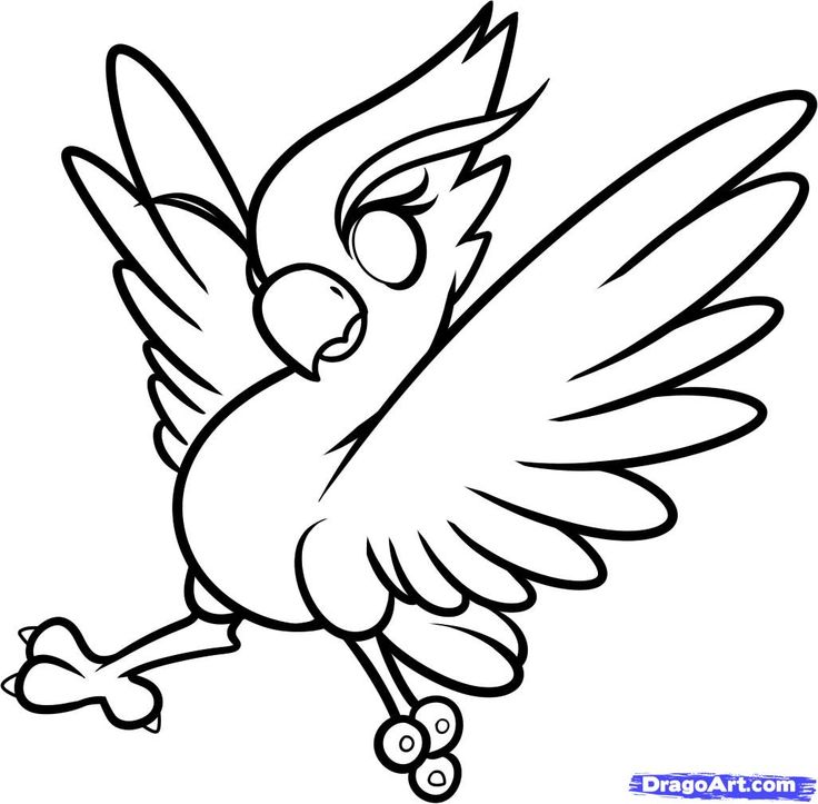 1000+ images about tracing pictures