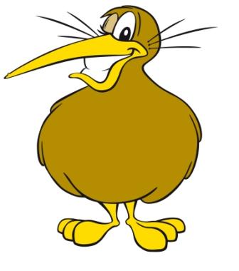 Kiwi Bird Clipart
