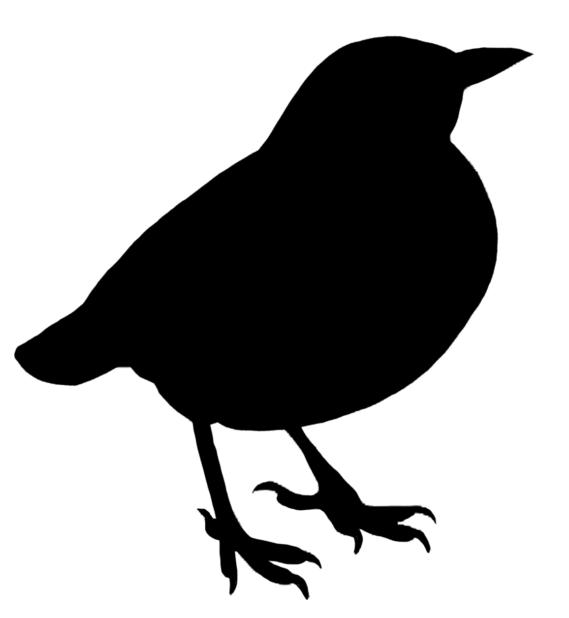 Bird silhouette, Black silhouette and Black