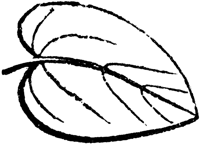 Leaf Clip Art Free - Free Clipart Images