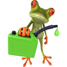 funny frogs