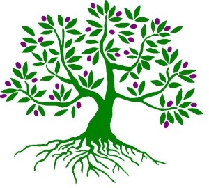 Fruit Tree With Roots Clipart