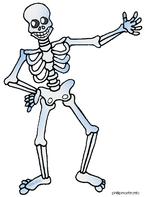 Human body clipart for kids bones