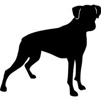 Boxers, Dogs and Stencils
