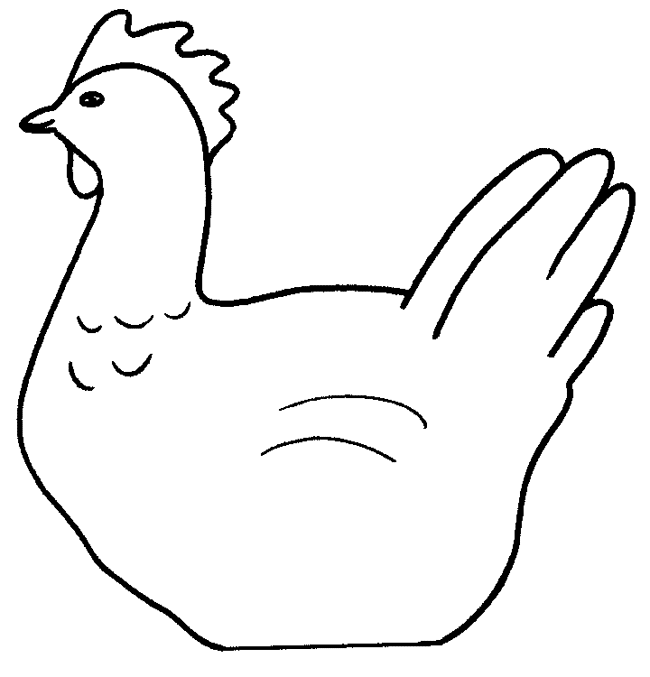 1000+ images about chicken stuff | Free chickens ...