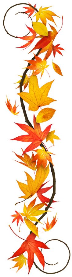 Graphics, Leaf garland and Patterns