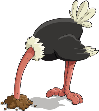 Ostrich Clip Art, Vector Images &amp; Illustrations