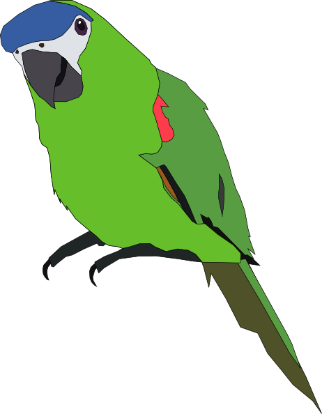 Parakeet Clipart - Tumundografico