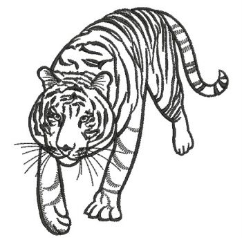 Animal Outlines