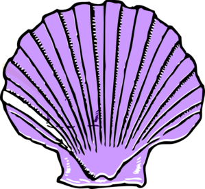 Shell Clip Art – Clipart Free Download
