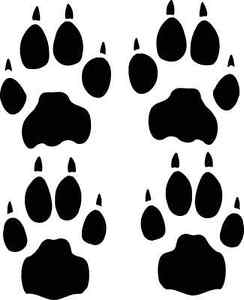 CHEETAH track / footprint sticker / paw print decal | eBay