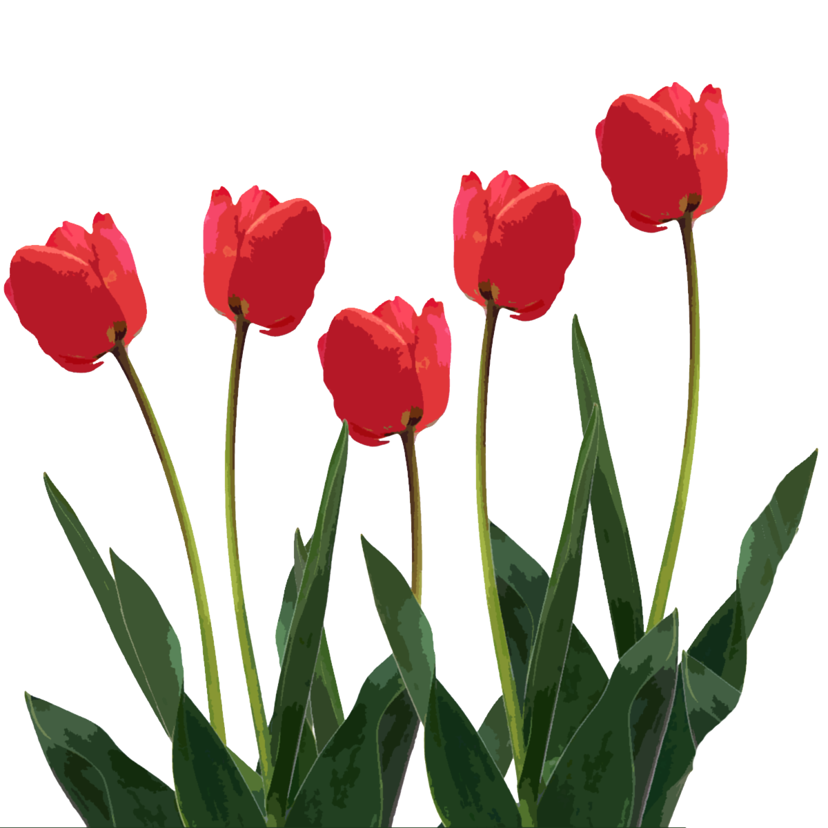 Spring | Love it ? Create your own