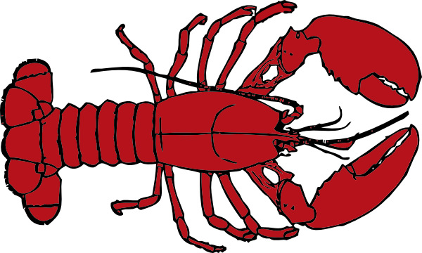 Lobster Outline - Free Clipart Images
