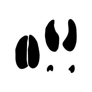 Deer Track Tattoo Designs - ClipArt Best