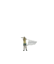 Animated Flag Toss GIF | carlycastorina