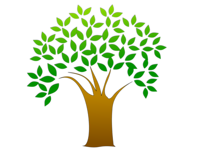 Tree With Leaves Clipart