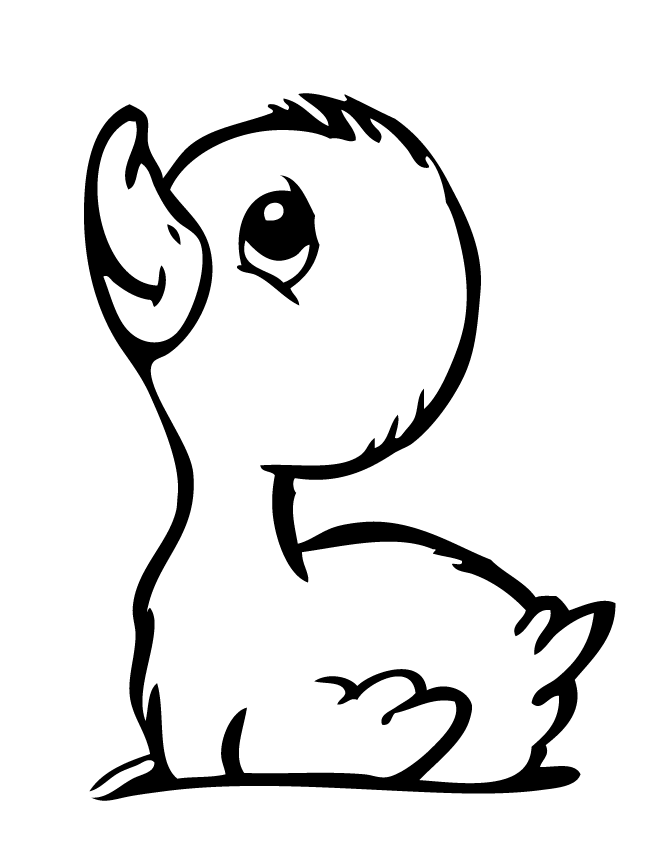 Duck Hunting Coloring Pages