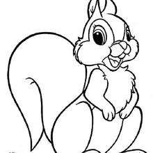 Squirrel : Coloring pages, Drawing for Kids, Videos for kids ...