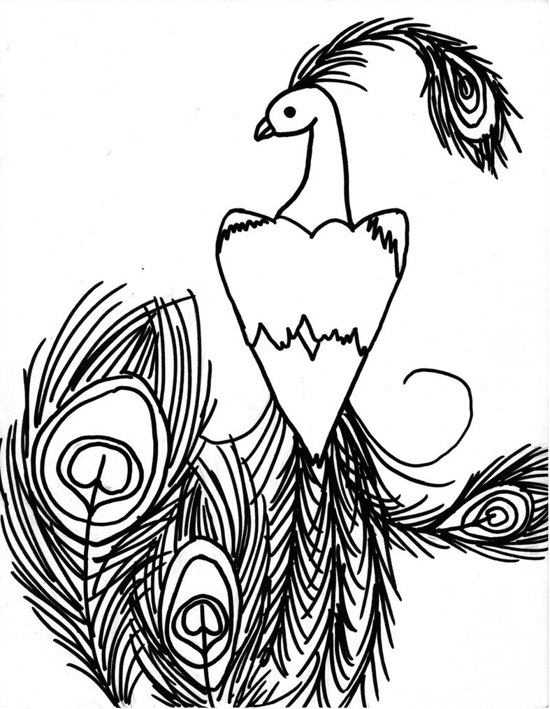 Peacock Drawing