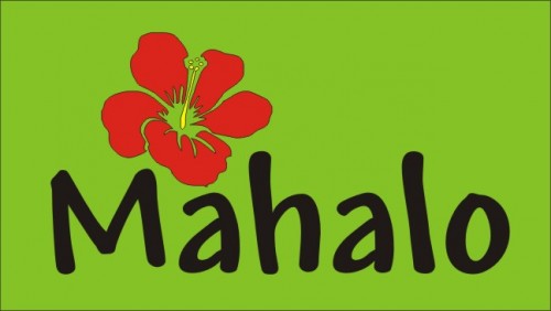 Stencil Mahalo hawaii beach island tropical hibiscus 7.5 x 4 ...