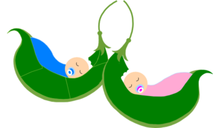 two-peas-in-a-pod-md.png