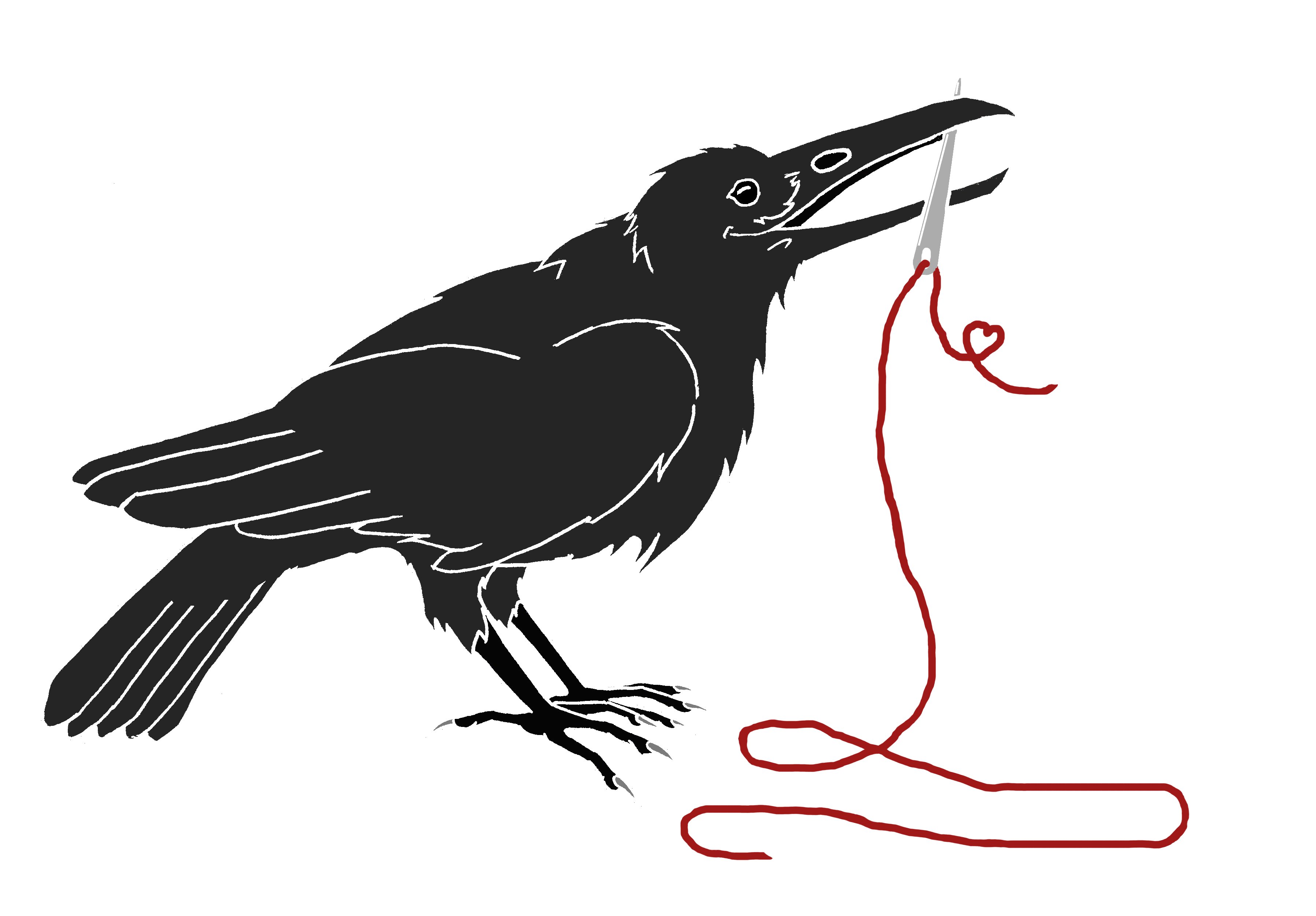 The Crow and the Needle | Corvus tristis: Science, Craft and an ...